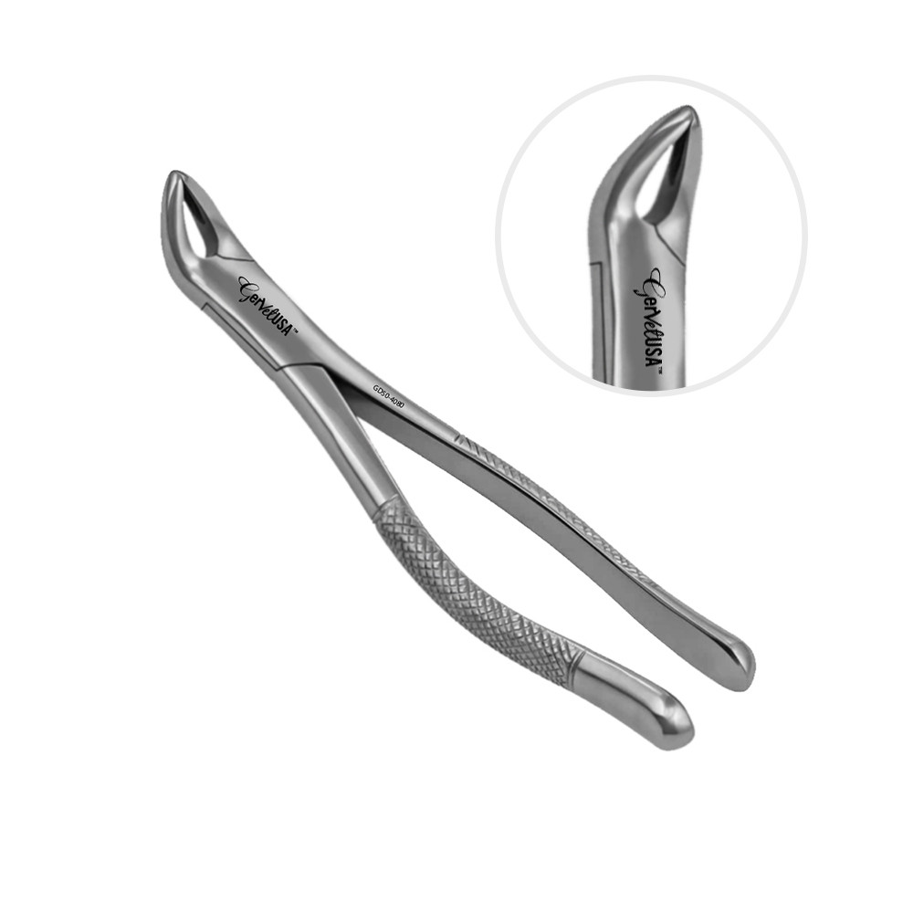 American Forceps Lower Premolars No. 151