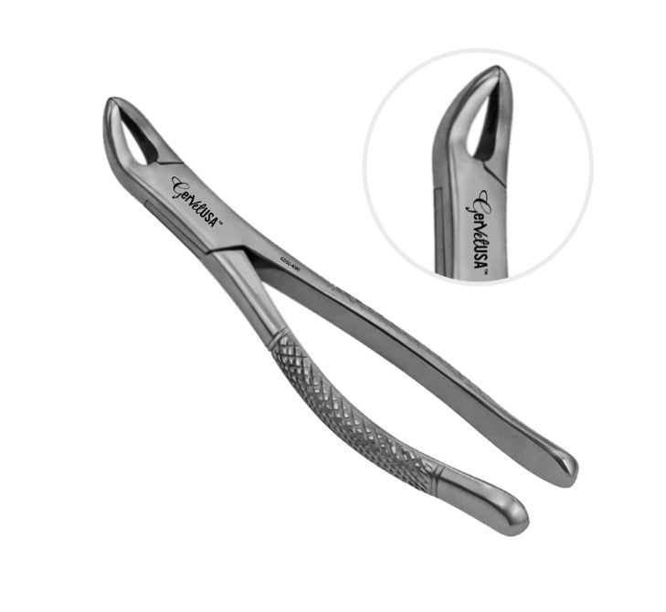 American Forceps Lower Premolar 151S