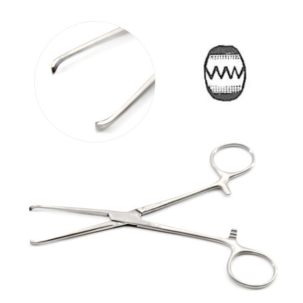 Allis Tissue Forceps 4X5 Teeth 15cm